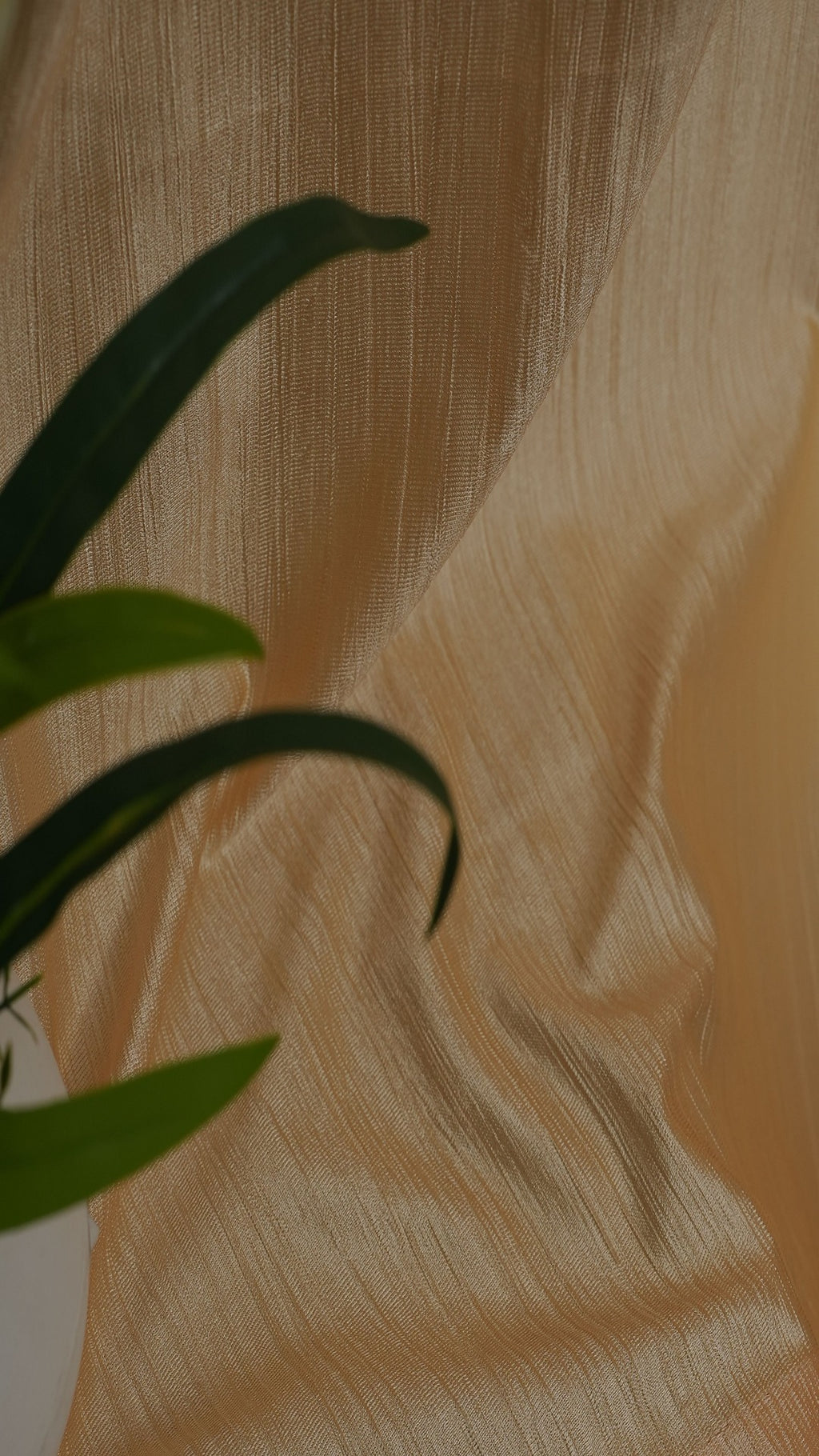 🪟 Branded Dark Cream Colour Crush Fabric Semi-Blackout Curtains  Warm | Elegant | Bestseller